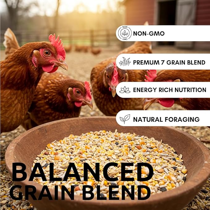 CZ Grain Premium Scratch Grains Bird Feed - Corn, Sunflowers, Wheat, Oats, Barley, Milo and Millet - Well Balanced Mix for Great Nutrition for Chickens and Ducks - Balanced Energy (5 Pounds)
