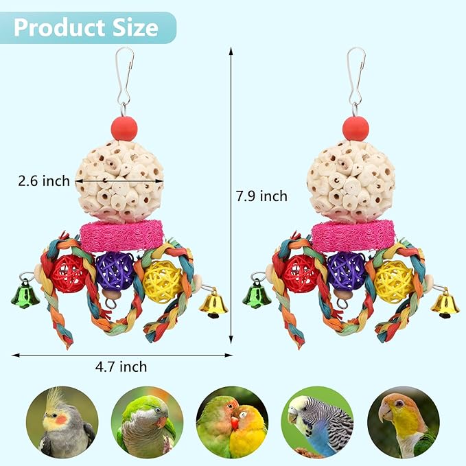 Wontee Bird Toys 3 Pack Parrot Foraging Hanging Toys Sola Ball Natural Nuts Chew Toys for Cockatiels Conures Parakeets Budgies Senegal (2 Pack-Colorful)
