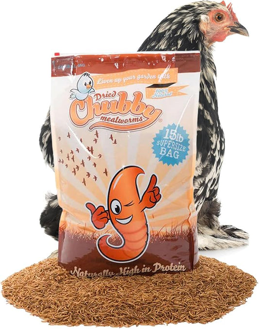 Chubby Dried Mealworms | 15 lbs | High-Protein Non-GMO Treats for Chickens, Ducks, Wild Birds & Backyard Pets | Resealable Bag with Handle
