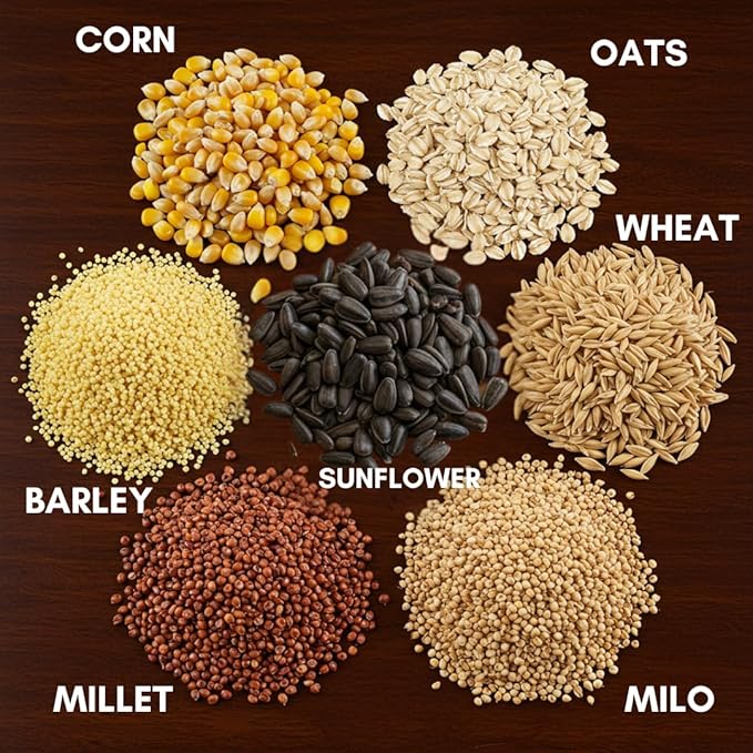 CZ Grain Premium Scratch Grains Bird Feed - Corn, Sunflowers, Wheat, Oats, Barley, Milo and Millet - Well Balanced Mix for Great Nutrition for Chickens and Ducks - Balanced Energy (5 Pounds)