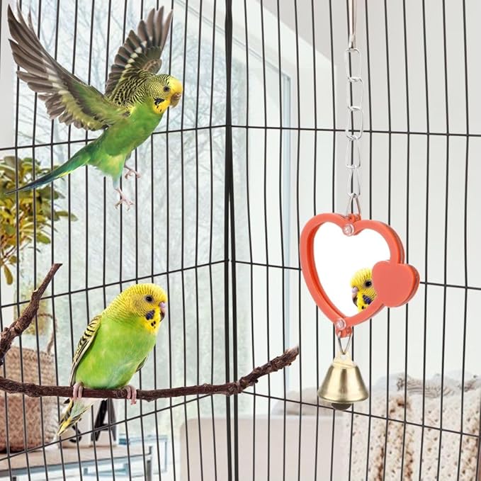 Hypeety Pet Bird Mirror with Bell Interactive Treat Puzzle Parrot Toy Bird Cage Mirror Small Bird Swing Chew Toys Fun Cage Accessories (Color Random) (Heart Shape)