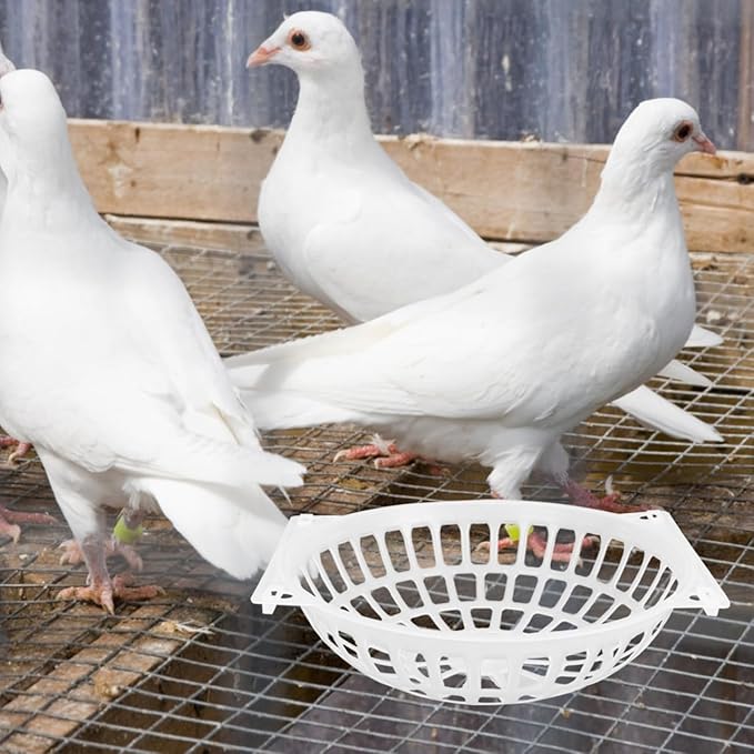 Yardwe Breeding Bird Nest Bowl 9.64X9.64X1.77In Plastic Egg Laying Basin with Mesh Bottom for Parrots Pigeons Pet Supplies Durable Washable Cage Accessory 10 Pack