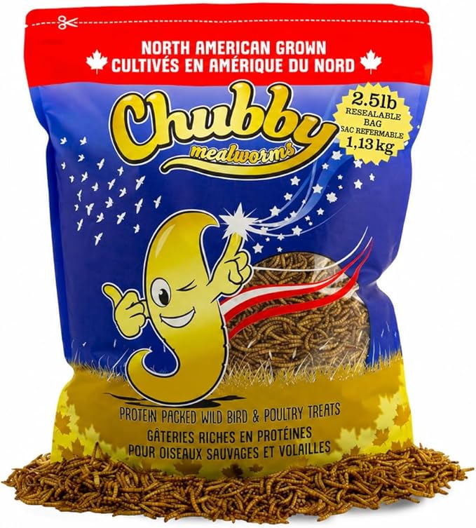Chubby North American Grown Dried Mealworms | 2.5 lbs | Non-GMO High-Protein Treats for Chickens, Ducks & Wild Birds – Sustainable Chicken Feed