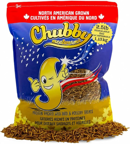 Chubby North American Grown Dried Mealworms | 2.5 lbs | Non-GMO High-Protein Treats for Chickens, Ducks & Wild Birds – Sustainable Chicken Feed