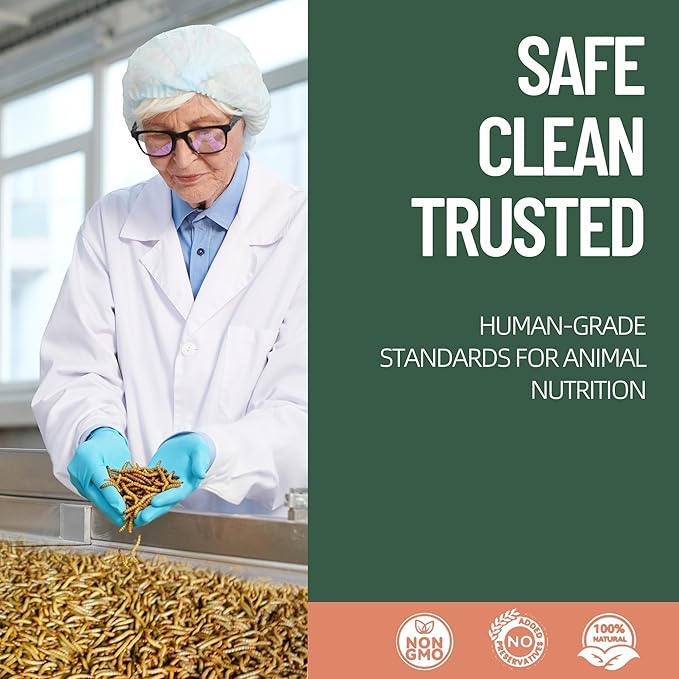 5LB Premium Non-GMO Dried Mealworms for Chickens, Ducks, Wild Birds, Quails & Reptiles High-Protein Natural Treats & Feed