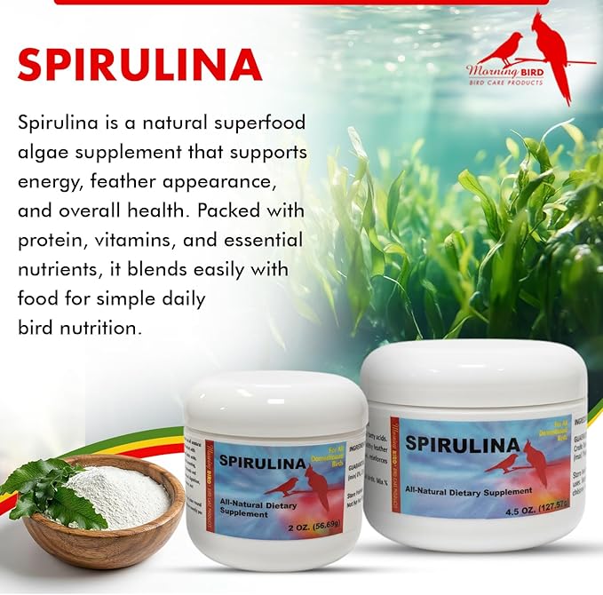 Morning Bird Spirulina 2 oz – Organic Superfood Supplement for Birds – Rich in Vitamins, Protein & Amino Acids – Ideal for Parakeets, Cockatiels, Budgies, Finches, Canaries & Parrots