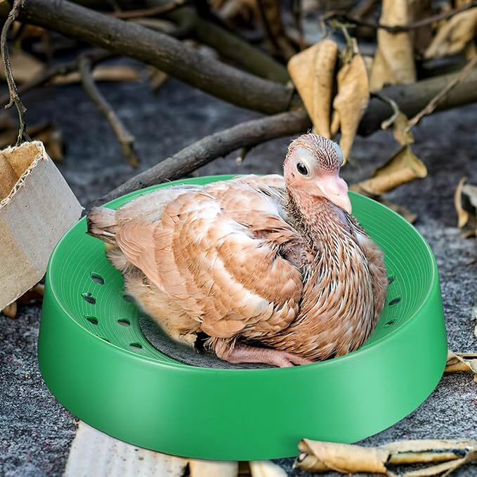 Balacoo 10 Pcs Pigeon Nest Bowl, Durable Plastic Pigeon Nesting Box with Comfort Pad, Breathable Washable Bird Breeding Hatching Bowl for Parakeet Quails Doves and Small Birds (Green)