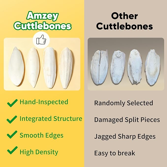 Amzey 12 Pack Cuttlebone for Birds, 4-6 Inches Sun-Dried 100% Natural Calcium Supplement, 100% Pure Cuttlefish Bone for Beak Trimming, Supports Healthy Bones, Feathers & Shells