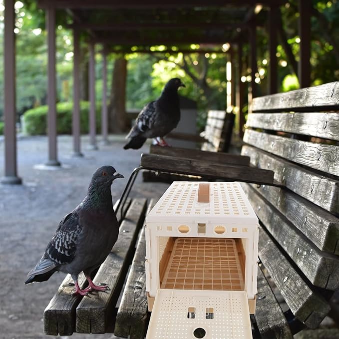 Balacoo Foldable Pigeon Cage, Portable and Convenient Pigeon House for Training and Domestication