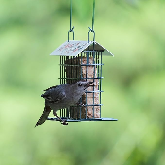 Wild Wings Decorative Metal Suet Cage Feeder for Outdoor Décor Wild Bird Feeders, 1 Suet Cake Capacity, Hanging Suet Feeder, Black