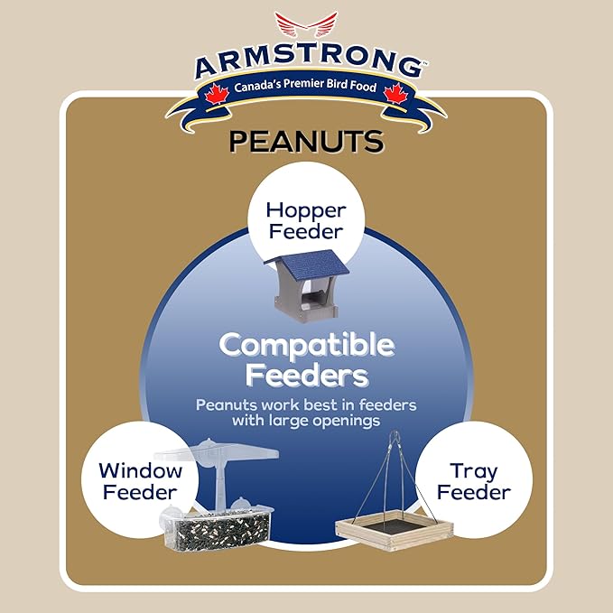 Armstrong Wild Bird Food Shelled Peanut Halves Bird Seed, 8 Pounds - for Downy Woodpeckers, Red-Breasted Nuthatches and Black-Capped Chickadees for Outside Feeders