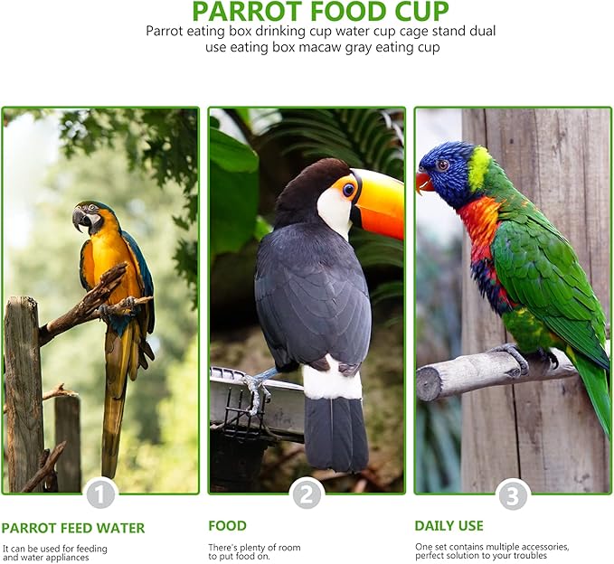 Practical Parrot Food Box Feeding Cups Eco-Friendly No Harmful Easy to Maintain Use