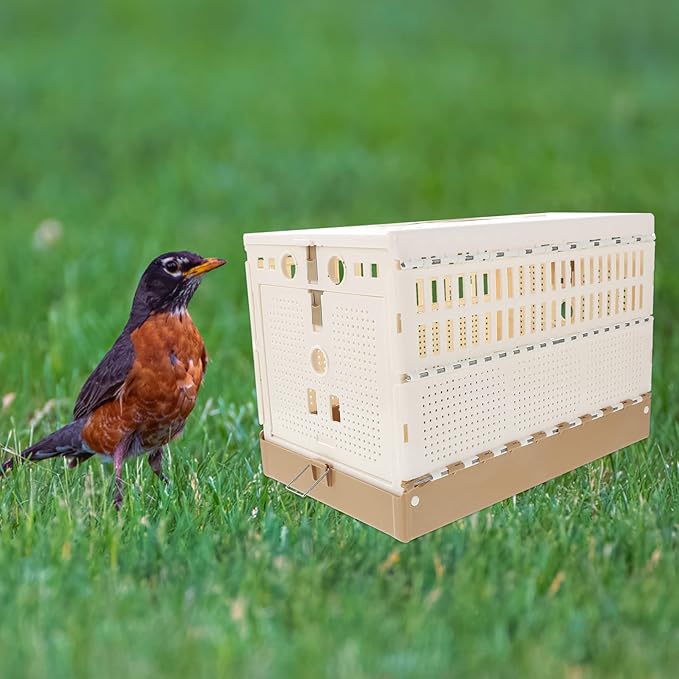 Balacoo Foldable Pigeon Cage, Portable and Convenient Pigeon House for Training and Domestication