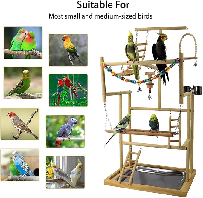 Bird Playground Parrot Playstand Natural Wood Bird Perches Stand, Bird Play Gym Playpen for Parakeet Cockatiel Bird Toys, Bird Cage Accessories, with Removable Tray and 4 Stainless Steel Cups