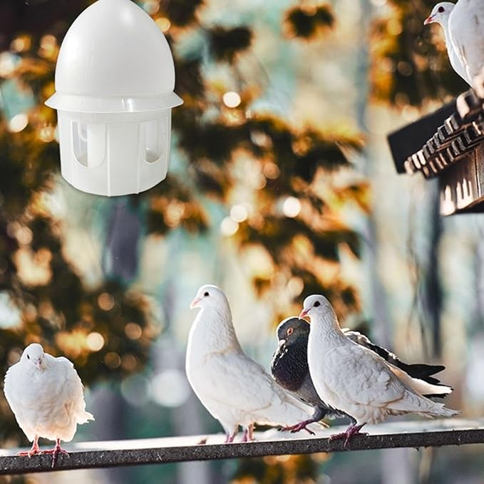 Plastic Drinker with Hanging Handle, Pigeon Water Dispenser, Pet Birds Water Pot Container, Water Automatic Feeders Supplies for Pigeons Quails Parrots Parakeet Dove, 10L