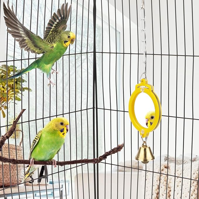Pet Bird Mirror with Bell Interactive Treat Puzzle Parrot Toy Bird Cage Mirror Small Bird Swing Chew Toys Fun Cage Accessories (Color Random) (Round Shape)