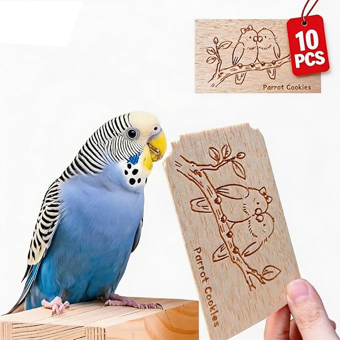 Natural Balsa Wood Bird Chew Toys,10 Pack Soft Wooden Slices with Cute Prints, Safe Shredding & Foraging Toys for Budgies, Parakeets, Lovebirds, Cockatiels and Small Birds