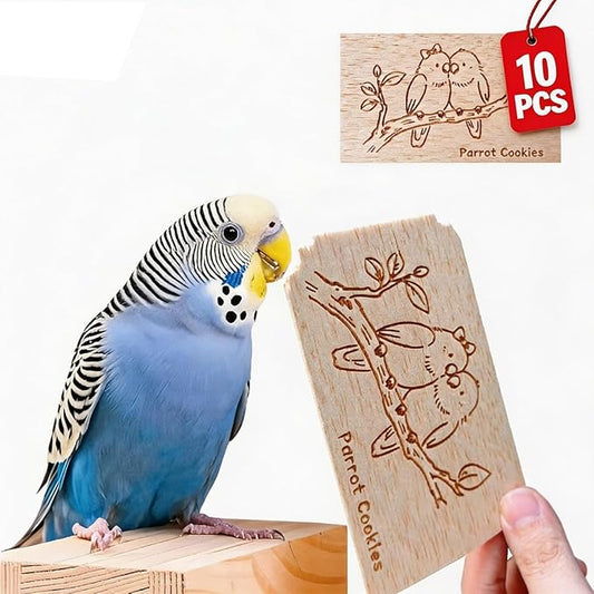 Natural Balsa Wood Bird Chew Toys,10 Pack Soft Wooden Slices with Cute Prints, Safe Shredding & Foraging Toys for Budgies, Parakeets, Lovebirds, Cockatiels and Small Birds