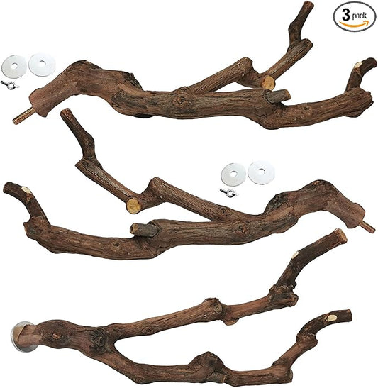 kathson Natural Parrot Perch Bird Stand Pole Wild Grape Stick Paw Grinding Fork Parakeet Climbing Standing Branches Toy Chewable Cage Accessories for Small Budgies Cockatiels Lovebirds 3PCS