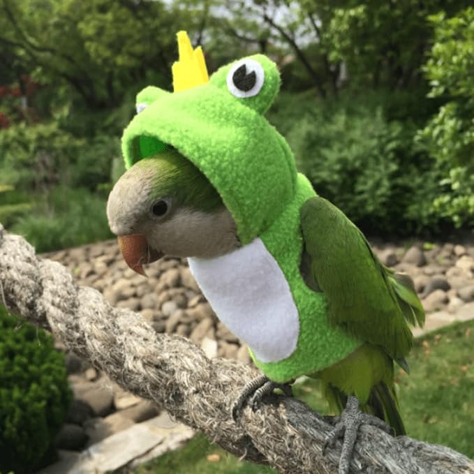 Bird Clothes Cosplay Photo Prop Frog Shape Hoodie, Bird Diaper Flight Suit, Small Animal Apparel for Parrots, Parakeet, Cockatiel, Sun Conure - Green, Small