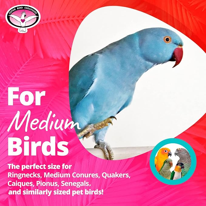 Super Bird Creations SB748 Flying Trapeze Bird Toy for Conures, Quakers, Cockatiels, Parrots, Senegals, Multi-Colored Chain, Seagrass Mat, Enrichment Toy - Medium Bird Size, 14" x 13" x 12"