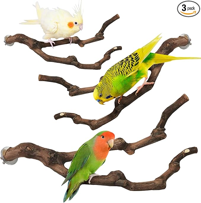 PINVNBY 3 Sizes Natural Parrot Perch Grape Wood Bird Stand Pole Parakeet Paw Grinding Fork Chewable Climbing Branches Toy Bird Cage Accessories for Budgies Conures Cockatiels Lovebirds