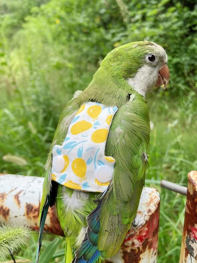 Bird Flight Harness Vest, Parrot Flight Suit with Leash for Parakeets Cockatiels, Bird Flying Clothes with Rope and Handle for Outdoor Activities Training (Yellow Without Leash,Medium)