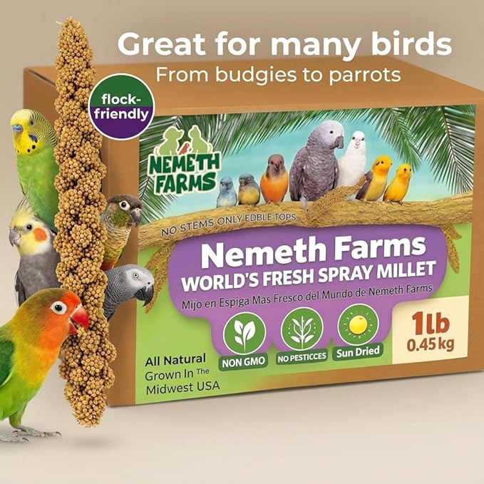 Nemeth Farms Spray Millet - Edible Tops Only, Non-GMO and Sun-Dried - 1 lb for Parakeets, Canaries and Finches