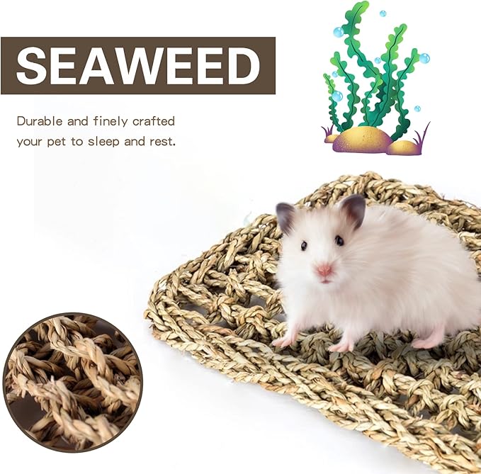20.5 x 7.9 Inches Bird Seagrass Mat, Natural Seagrass Woven Bird Net Hammock Mat, Cage Accessories, Climbing Rope Ladder Chew Toys for Parrots Cockatoos Lovebird Cockatiel Budgie Hamster Parakeet