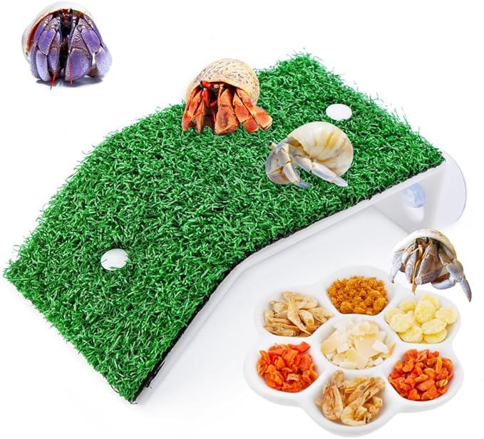 DQITJ 1 Pack Hermit Crab Ramp Toys Simulation Grass Hermit Crab Ramp Climbing Ladder with 1 Pack Ceramic Food Dish for Hermit Crab Habitat