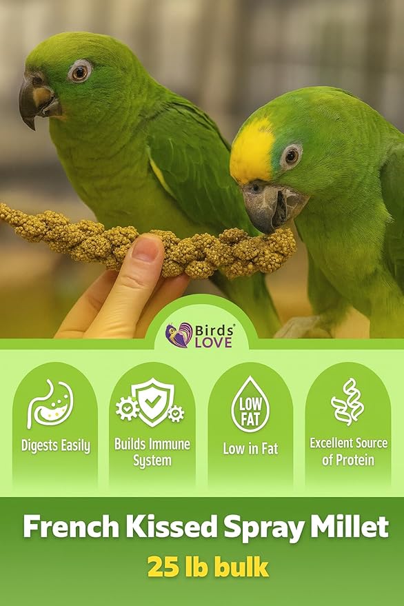 Birds LOVE French Kissed Spray Millet for Birds - Parakeets, Cockatiels, Lovebirds, Finches, Budgies, Canaries, Cockatoos - Natural & Healthy Bird Millet - Parakeet Food & Treats for all Parrots 25lbs