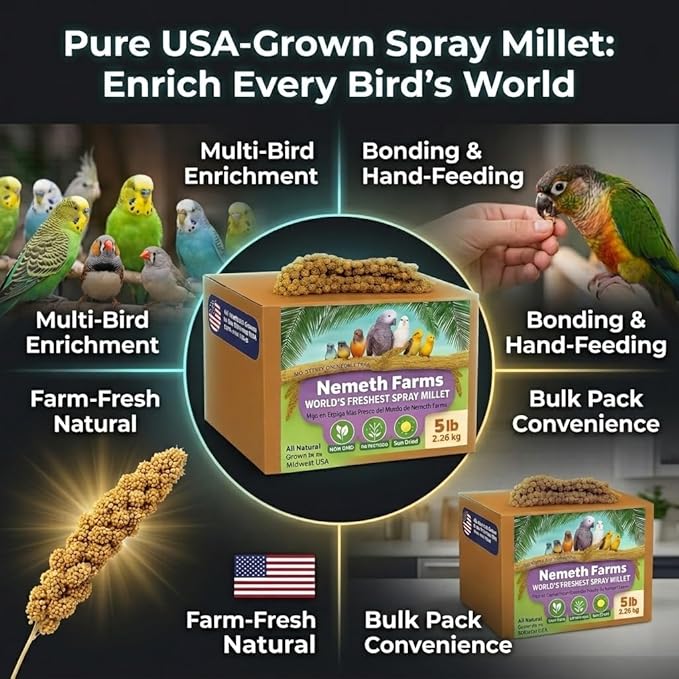 Nemeth Farms Spray Millet - Edible Tops Only, Non-GMO and Sun-Dried - 5 lbs for Parakeets, Conures and Cockatiels