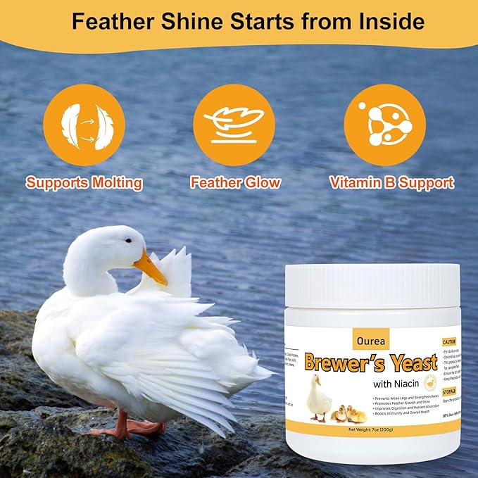 Brewer’s Yeast for Ducks with Niacin, Duck Vitamin B Complex Supplement to Supports Immunity Molt Recovery Severe Stress, Growth & Digestion, Niacin-Rich Powder for Healthy Legs Bones 7oz