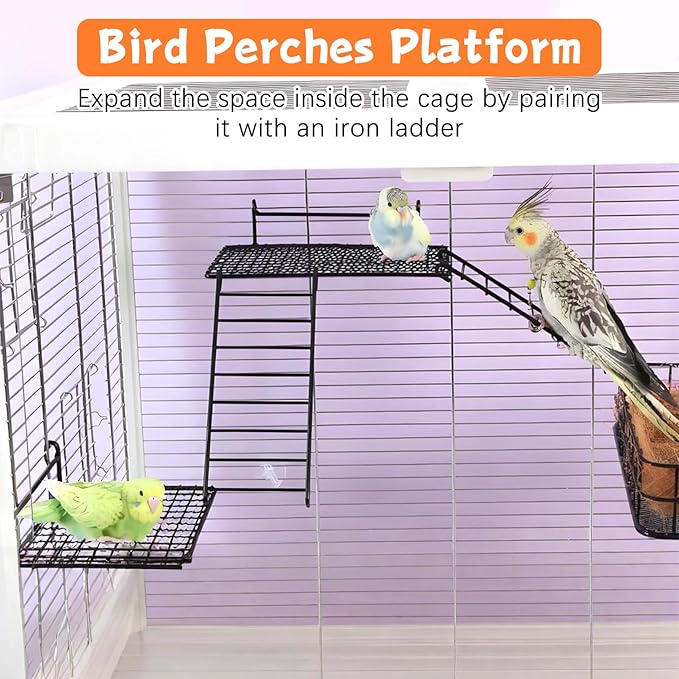 BNOSDM Stainless Steel Grid Platform for Parakeet 4 PCS Bird Perches Platform Parrot Stand with Climbing Ladder Bird Cage Accessories for Small to Large Bird (XL)