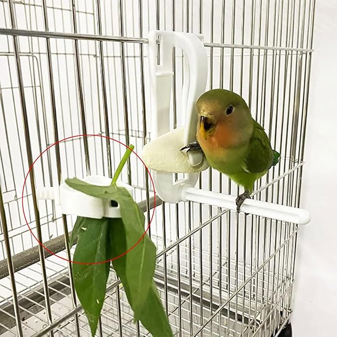 3Pcs Bird Snack Holder for Fruit Vegetable Treat Food Clips Easy to Install for Cage Feeder for Small Parrots