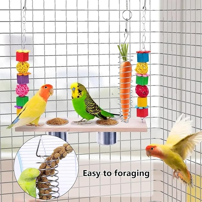 Bird Foraging Toy,Steel Holder for Bird Cage Accessories Hanging Fruit Vegetable Feeder for Parrot Cage Parakeet(Big)