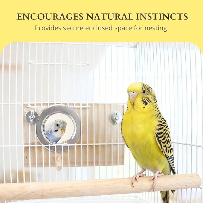 Parakeet Nesting Box with DIY Letter Sticker, Acrylic Transparent Panel & Perch, Natural Wood Breeding Box for Small Birds (Parakeets, Cockatiels, Lovebirds, Budgie), Easy to Install