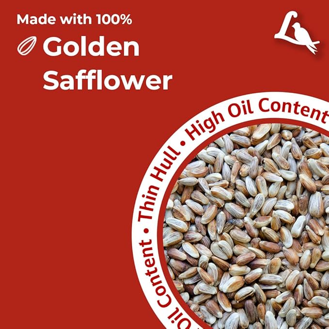 Lyric Golden Safflower Bird Seed for Outside Feeders - Attracts Cardinals, Chickadees, Woodpeckers & More, 5 lb Bag