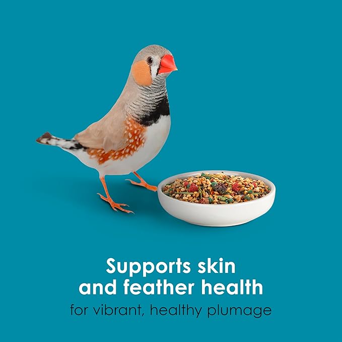 Kaytee Forti-Diet Pro Health Pet Canary & Finch Food, 2 lb
