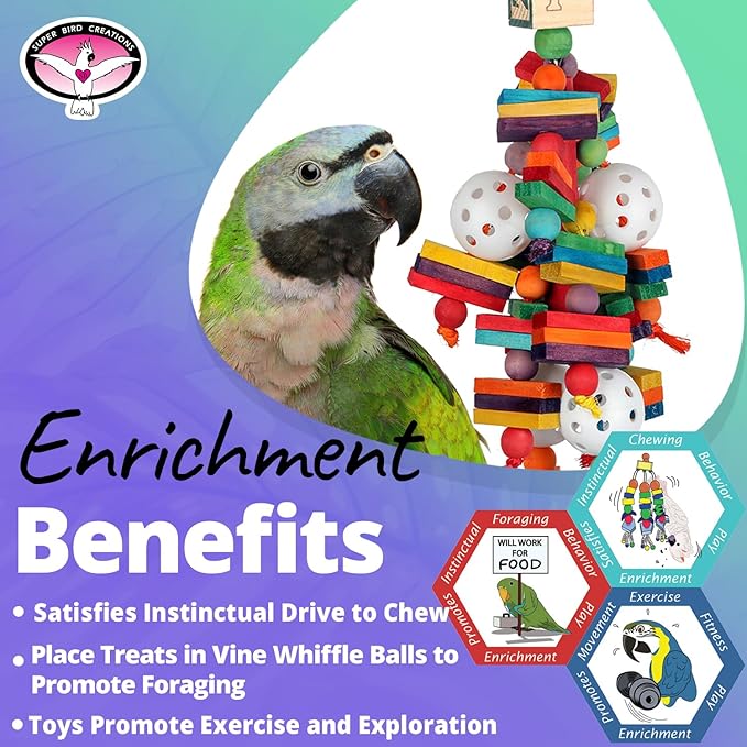 Super Bird Creations SB451 Wally's Wonder Bird Toy - Satisfy Chewing & Foraging Instincts for Ringnecks Medium Conures Parrots - Engaging Physical Exercises for your Birds - Ideal for Medium Bird Size