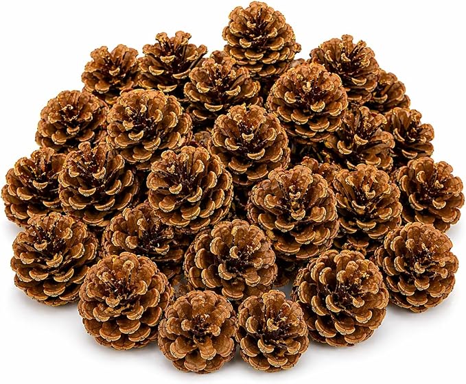 Bonka Bird Toys 3284 Natural Pine Cone Bird Toy 2" Real Pinecone Chew Foraging Toy for Small to Medium Birds Parakeet Cockatiel Conure Finch Cage Enrichment (Pack of 24)