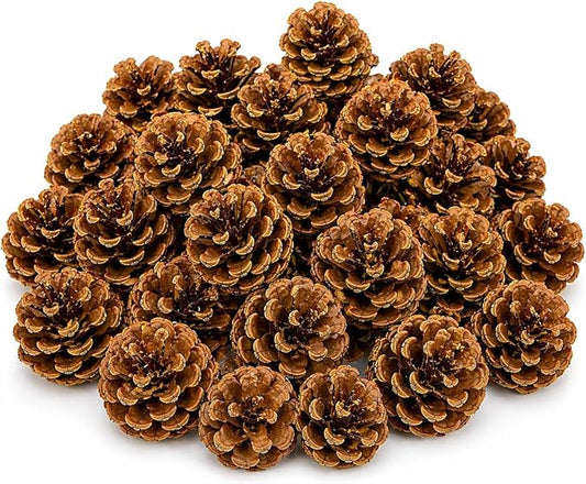 Bonka Bird Toys 3284 Natural Pine Cone Bird Toy 2" Real Pinecone Chew Foraging Toy for Small to Medium Birds Parakeet Cockatiel Conure Finch Cage Enrichment (Pack of 24)