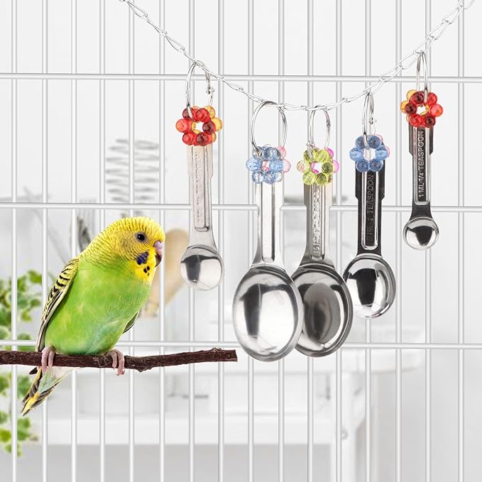 Hypeety Stainless Steel Bird Bell Toys Heavy Duty Hanging Spoons Rings Safe Metal Cage Hanging Bells Toy for Cockatoos Macaws African Grey Large Parrots and Birds (5 Spoons)