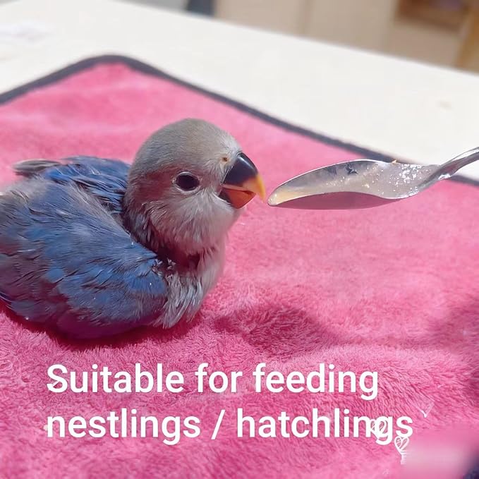 6 Pcs Stainless Steel Bird Feeding Spoon - Narrow Tip for Baby Birds Young Pet Birds, Parrot Milk Spoon Fit Finch Canary Cockatiel Hand Feeding,Spoons for Feeding Nestlings/Hatchlings