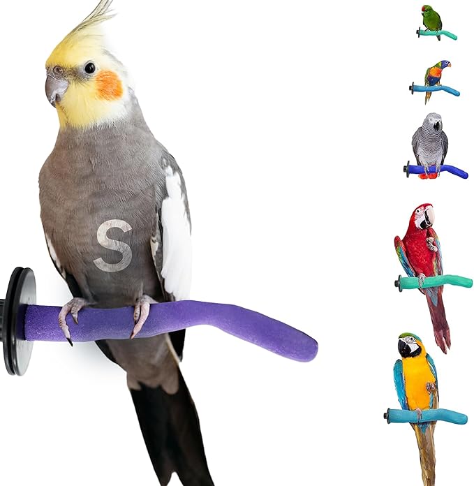 Sweet Feet and Beak Safety Pumice Perch - Trims Nails and Beak - Promotes Healthy Feet - Safe Non-Toxic Bird Supplies for Bird Cages - Small 8" - Purple