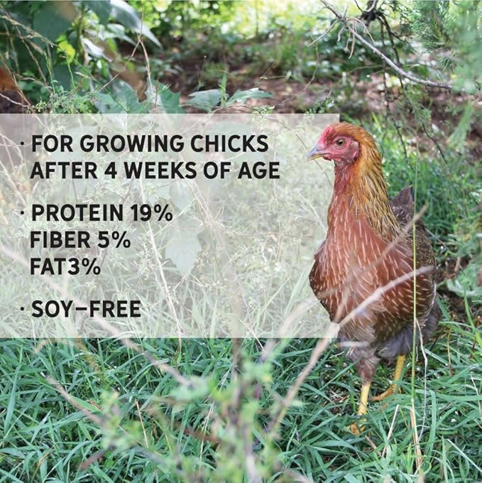 New Country Organics I Power Pellet Broiler Feed 40 lbs I Grower/Broiler Feed for Growing Chickens I Soy-Free I 19% Protein I Certified Organic and Non-GMO I 40 lbs