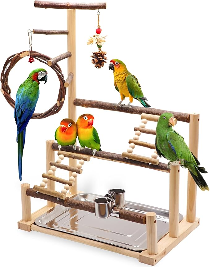 Bird Playground, Natural Wooden Parrot Stand Suitable for Small and Medium Birds, with Feeding Cups, Swing, Chew Toys,Bird Perch Ideal for Parakeets, Budgerigars,Canaries,Conures