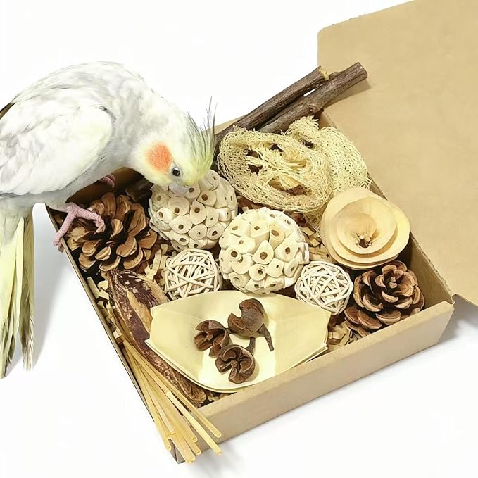 Bird Toys - Sola Ball Foraging Box, 10 Natural Ingredients | Chewing and Shredding Parrot Toys | Ideal for Parakeets/Cockatiels/Conures/Lovebirds and Small to Medium Birds