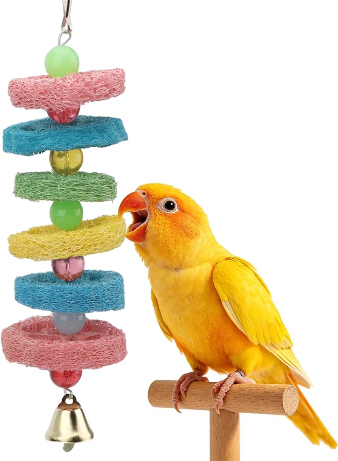 Hypeety Bird Toys Parrot Hanging Chew Toys Natural Colorful Loofah Shred and Preen Swing Bird Bell Cage Parrot Toys