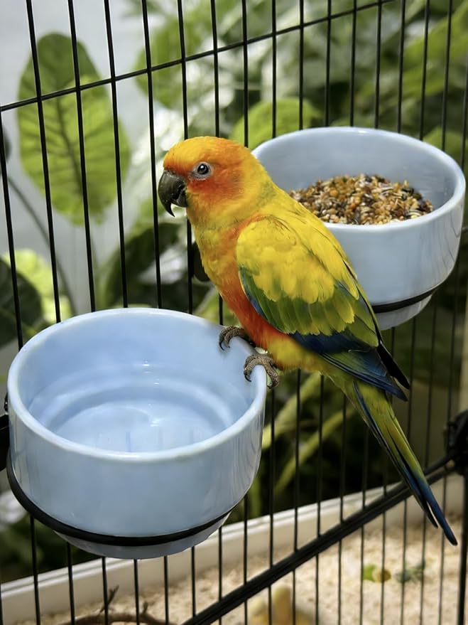 2 Pcs Bird Food Bowl Ceramic Bowls for Birds Small Parakeet Food Bowl Parrot Feeding Cups, Bird Cage Feeder for Parakeets Conure Cockatiels Lovebird Budgie (Blue)